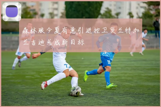 森林狼今夏有意引进控卫莫兰特加兰吉迪或成新目标