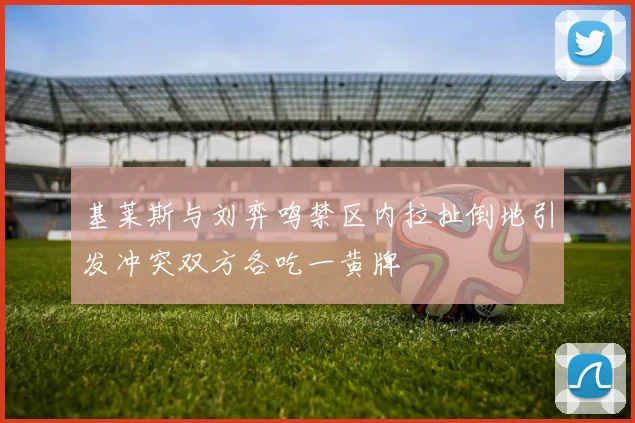 基莱斯与刘弈鸣禁区内拉扯倒地引发冲突双方各吃一黄牌